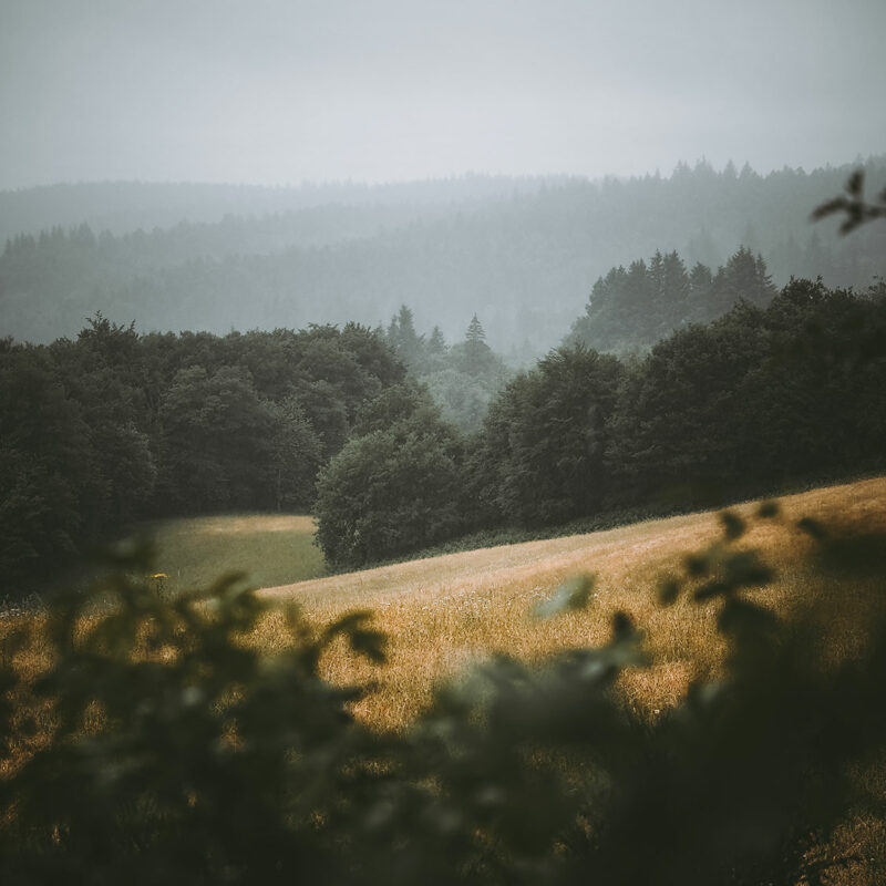 graphiste photographe artiste Dordogne