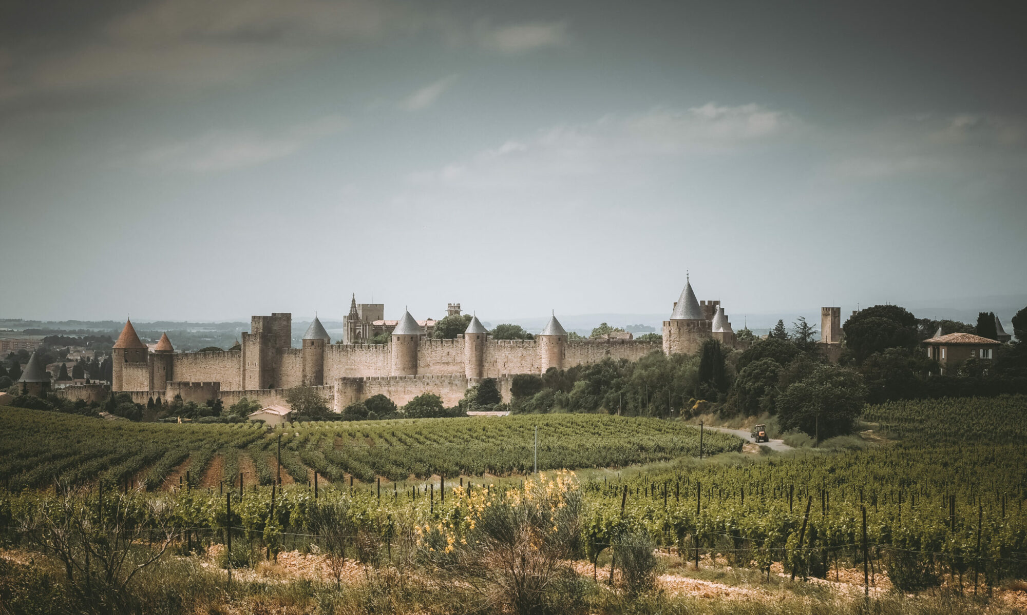graphiste photographe artiste Dordogne